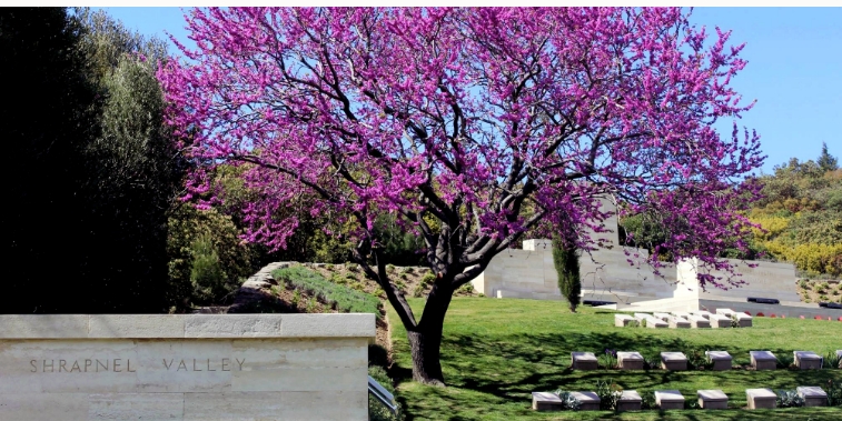 Shrapnel Valley Cemetary